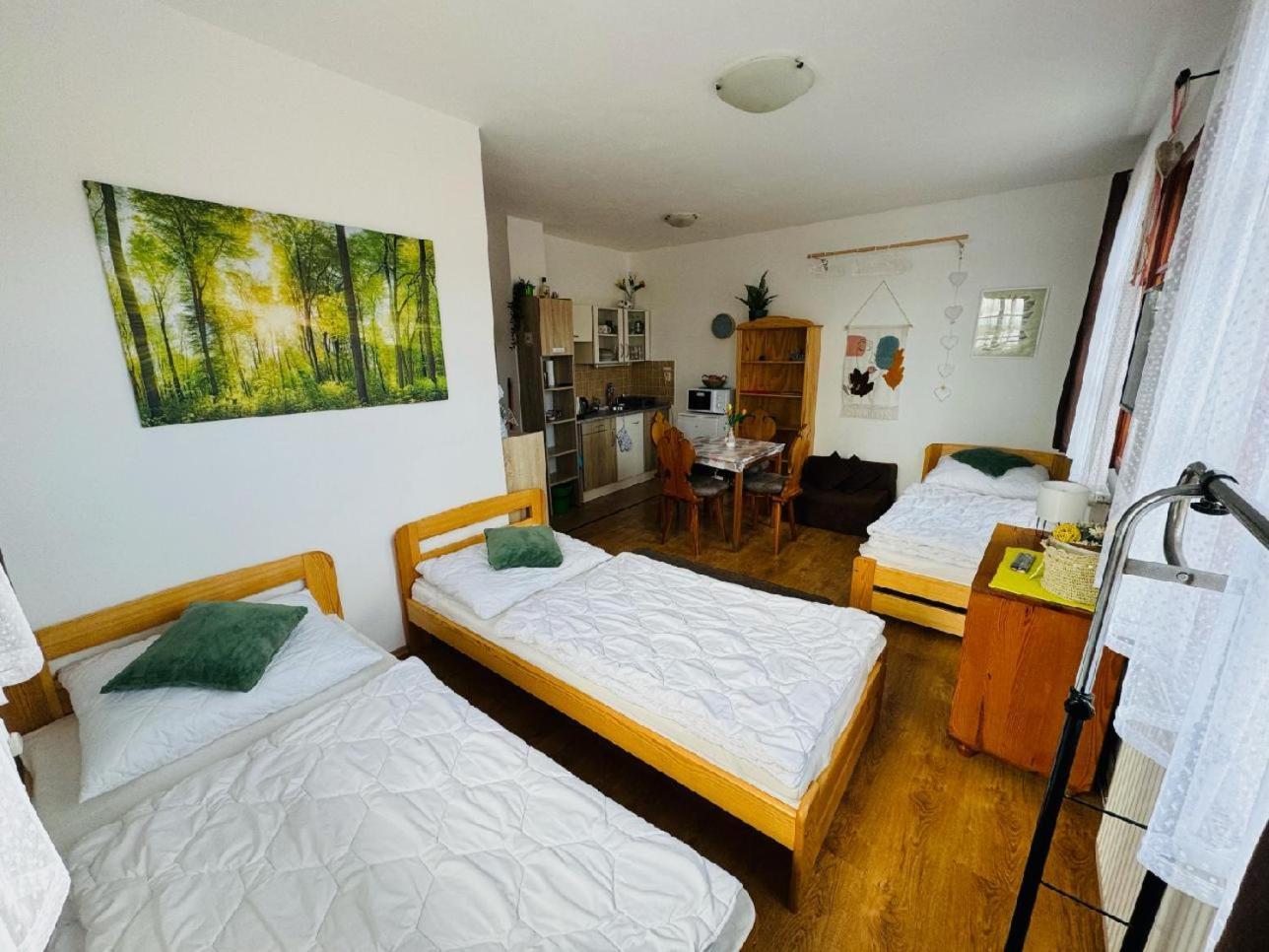 Apartmany Srub Jenisov Horni Plana Ngoại thất bức ảnh